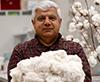 Turkish Cotton Arises from the Laboratory