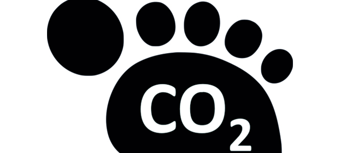 CARBON FOOTPRINT MEASUREMENT WITHIN THE SCOPE OF SUSTAINABILITY